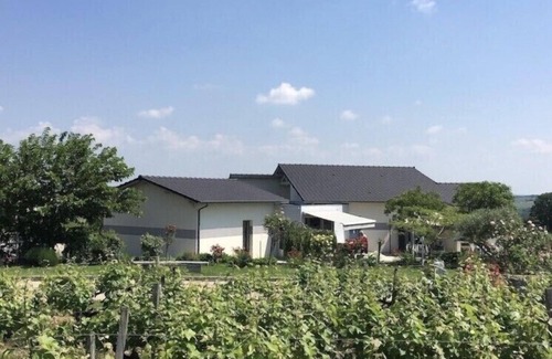 Sainte-Croix-Du-Mont Villa | MAISON CONTEMPORAINE AU MILIEU DES VIGNES 200 m2 - 6 personnes - LUXE.