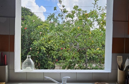Le Moule House | Maison Créole Dans Ravissant Jardin