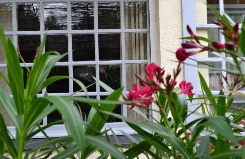 Brion Bed & Breakfast | Maison d'Hôtes La Chouanniere