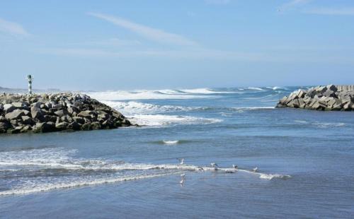 Vila Praia de Ancora House | Maison de 250 m² proche de l'océan et du centre