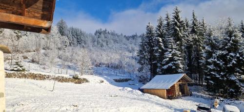 Sainte-Agnes Ski Chalet | Maison de campagne et montagne près des stations de ski