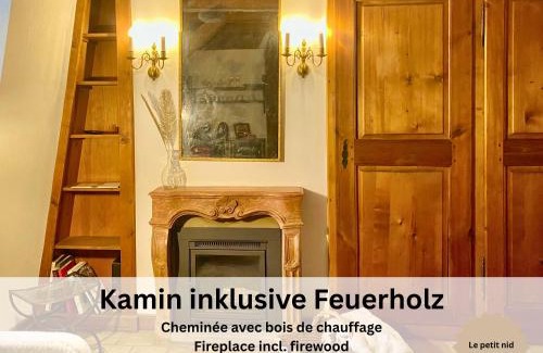 Fribourg Apartment | Maison de Castella next to Cathedrale