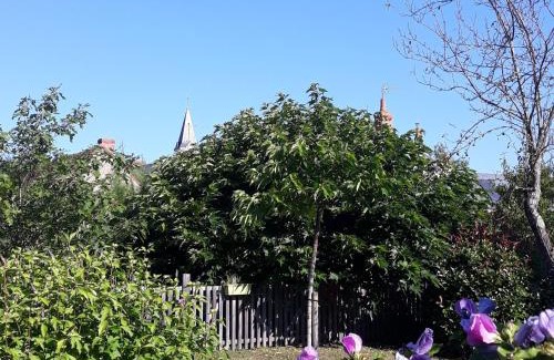 Le Menoux House | Maison de charme avec piscine, proche de la Creuse et attractions touristiques - FR-1-591-62