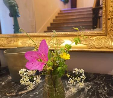 Saint-Pons-de-Thomieres Bed & Breakfast | Maison De l'Aguze