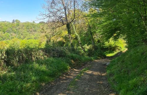 Baraize House | Maison de vacances en Berry avec jardin clos, proche plage et sentiers, animaux acceptés - FR-1-591-319