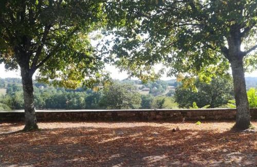 Saint-Cernin-de-lHerm House | Maison de village avec jardin, près de Villefranche du Périgord, idéale familles, animaux acceptés - FR-1-616-162