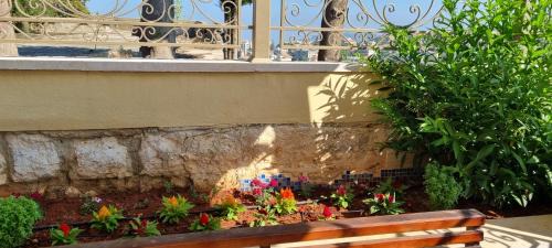 Aley House | Maison des Couleurs