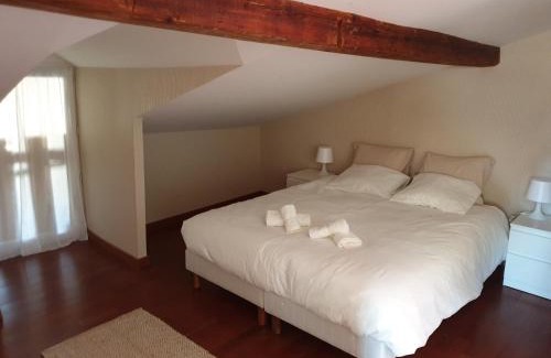 Thonon-les-Bains House | Maison des pêcheurs vue lac a 50m du port dans quartier historique