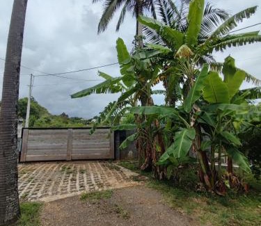 Saint-Pierre De La Reunion House | Maison familiale, sérénité, simplicité, végétalisé