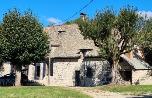 Saint-Martin-Cantales House | Maison typique Auvergnate, piscine et four à pain