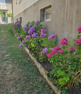 Le Cheylard House | Maison hortensia