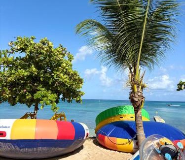 Port-Louis Apartment | Maison Passion Tropicale - Proche Plage Souffleur