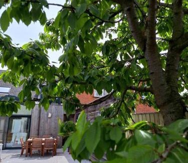 Kasterlee House | Maison Patisson