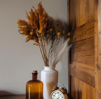 Saint-Saturnin-du-Bois House | Maison Sonora - Maison d'hôtes