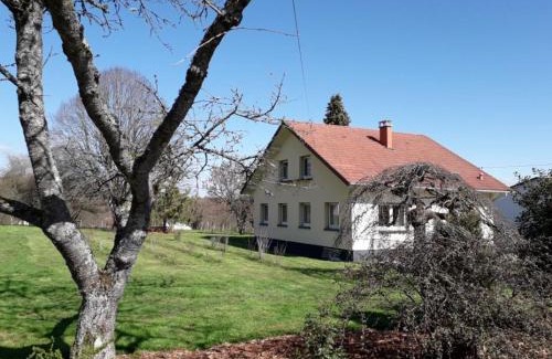 La Bourgonce House | Maison spacieuse avec terrasse, près de Saint-Dié, idéale pour randonnées et proche de l'Alsace - FR-1-589-464