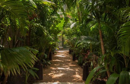 Flic-en-Flac House | Maison Tropical