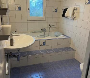 Faoug House | Maison Verdeau Ferien am Murtensee