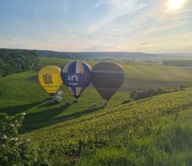 Mailly-Champagne Apartment | Maison village vignoble avec balnéo