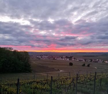 Mailly-Champagne Apartment | Maison village vignoble avec balnéo