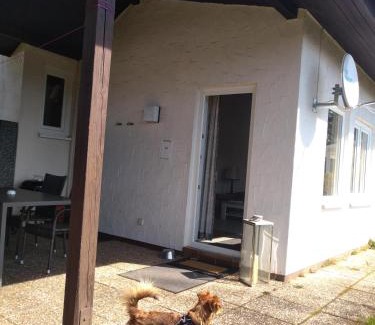 Hamm Resort | Maja am See