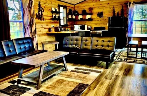 Marienville Cabin | Majestic Campfires Under The Stars, String Lights, and Tall Evergreen Trees