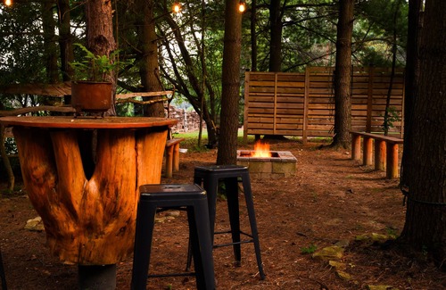 Marienville Cabin | Majestic Campfires Under The Stars, String Lights, and Tall Evergreen Trees