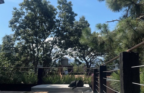 Monte Alto House | Majestuosa residencia con vistas al lago y bosque!