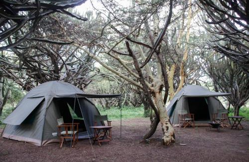 Maji Moto Other | Maji Moto Maasai Cultural Camp