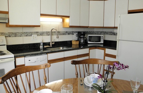 Ann Arbor Apartment | Make yourself at home in this cute and bright apt!
