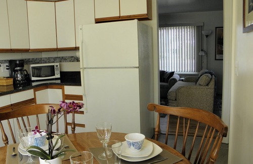 Ann Arbor Apartment | Make yourself at home in this cute and bright apt!