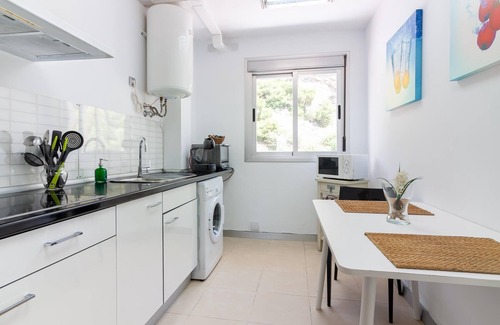 Campos Eliseos Apartment | Malaga Exclusive Penthouse Private Solarium Roof Terrace A