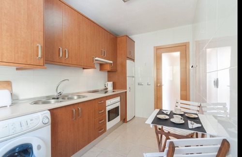 Campos Eliseos Apartment | Malaga Exclusive Penthouse Private Solarium Roof Terrace B