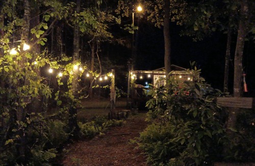 Florida Panhandle Cabin | Malakai campground different by design⛺ little jo cabin wheelchair accessible