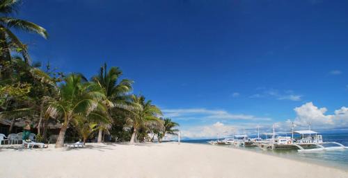 Amambucale Resort | Malapascua Exotic Island Dive Resort