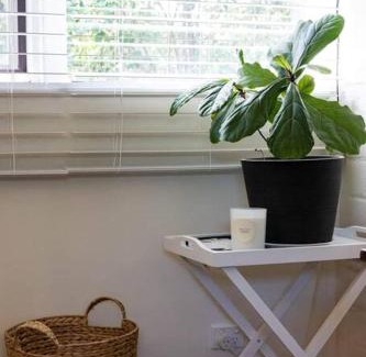 Maldon House | Maldon Cosy Garden Cottage - Charming One Room Studio