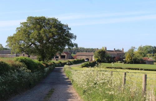 Aldfield Bed & Breakfast | Mallard Grange B&B