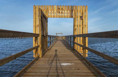 Rockport Apartment | Mallard