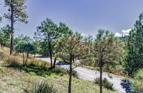 Ruidoso House | Mama Bears Den