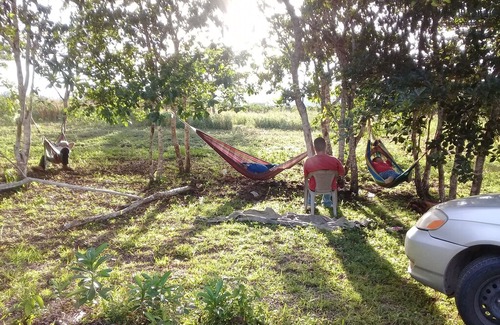Benque Viejo Del Carmen RV Rental | Mama Tina's Medicinal RVs Campsite &Farm