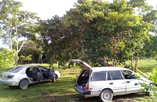 Benque Viejo Del Carmen RV Rental | Mama Tina's Medicinal RVs Campsite &Farm