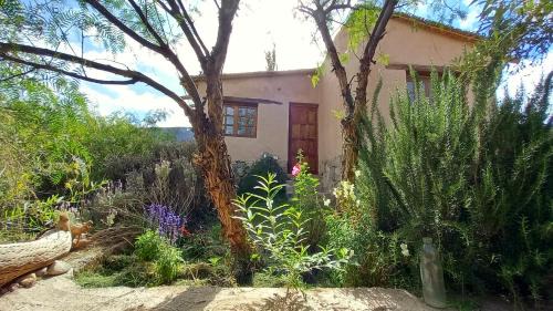Tilcara Apartment | MAMAICUNA CABAÑA