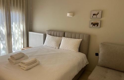 Elassona Apartment | Mamali Guesthouse