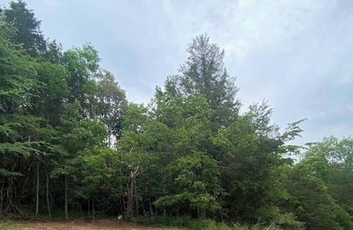 Horse Cave Apartment | Mammoth Cave Campsite Bliss