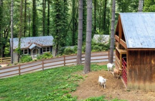Valle Crucis Cabin | Mams Refuge at Heritage Hill