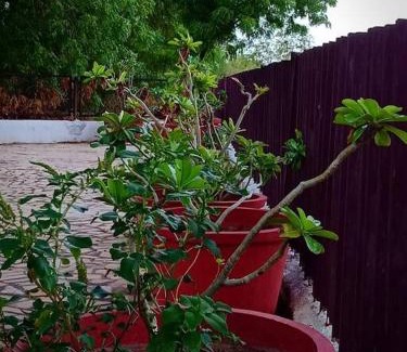 Devdholera House | Mamta's Home- Kensville