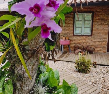 Mariscal Apartment | Maná Mariscal Hospedagem