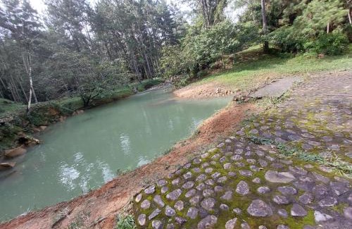 Cerro Azul Cabin | Mandalas Ecolodge Ecotourismo Altos Cerro Azul, Rain Forest Natural,Chagres National Park