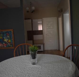 North Macedonia Apartment | MANEVI Apartment