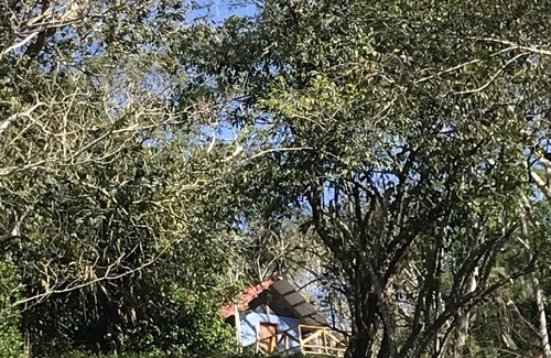Dickinson Cabin | Mango Walk Inn