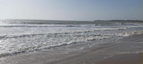 Sanyang Bed & Breakfast | MANGROVE BEACH